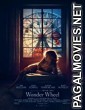 Wonder Wheel (2017) English Movie